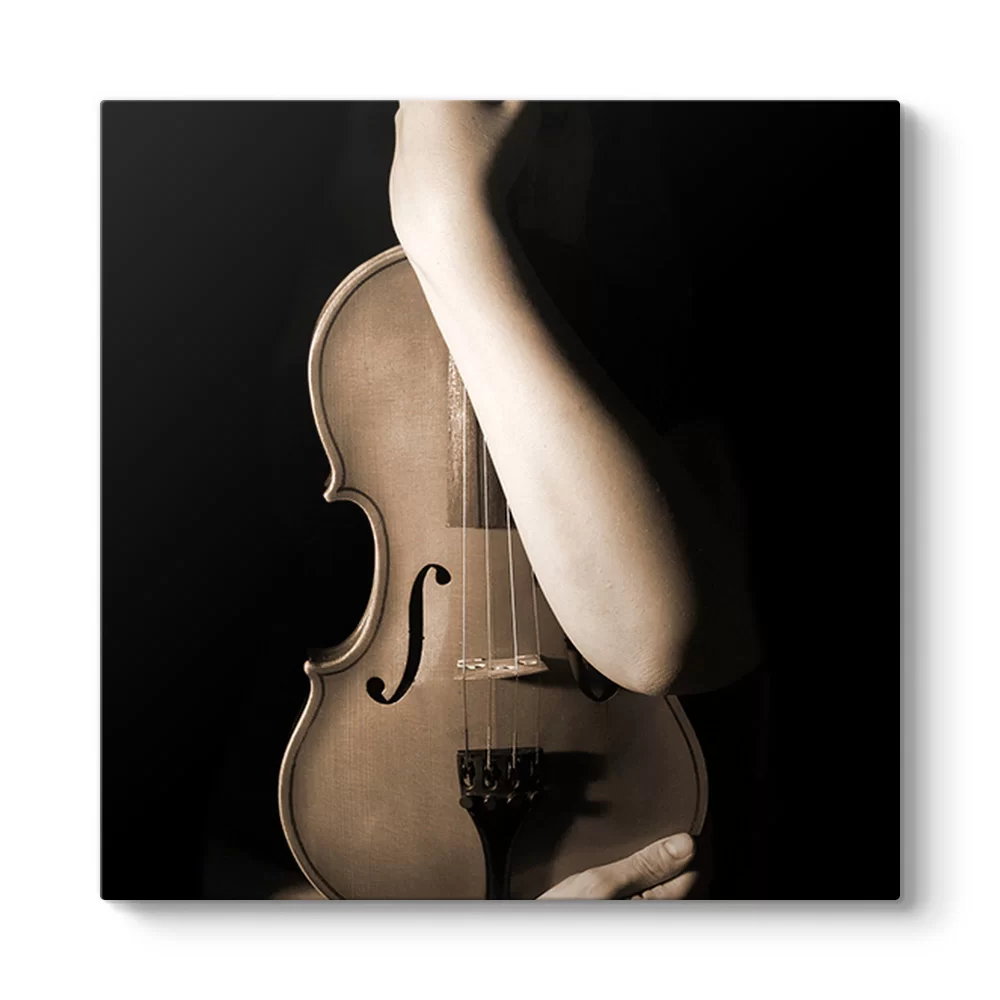 Keman Sevgisi Tablosu - Model 3